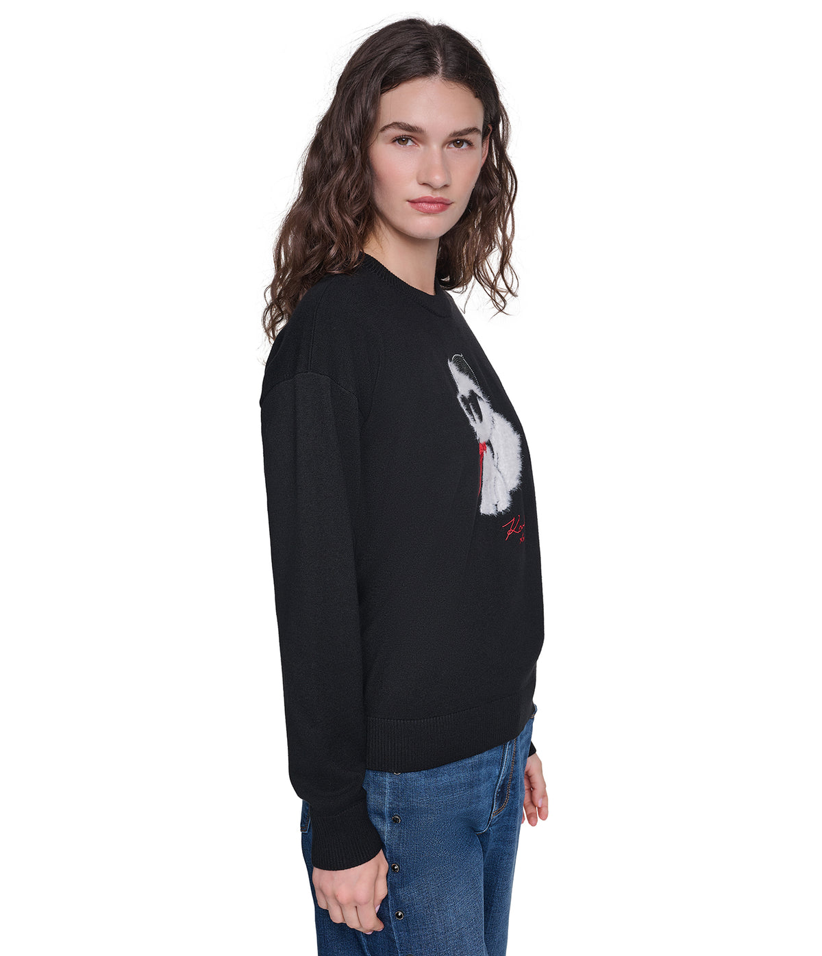 LONG SLEEVE CHOUPETTE IN BERET SWEATER VIEW 3 LONG SLEEVE CHOUPETTE IN BERET SWEATER VIEW 3