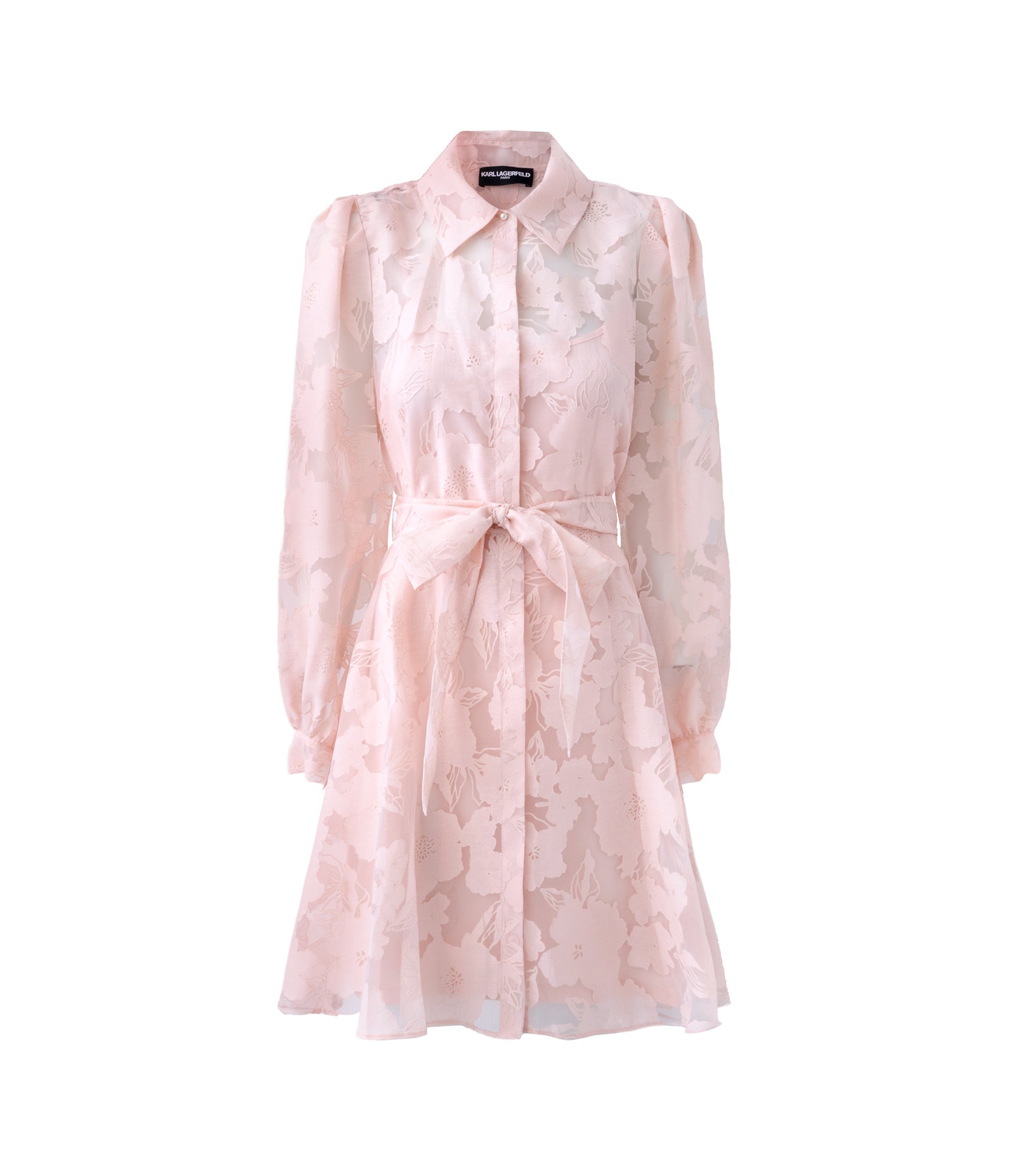 SHEER JACQUARD FLORAL FIT AND FLARE DRESS VIEW 2 | Women's Spring Collection