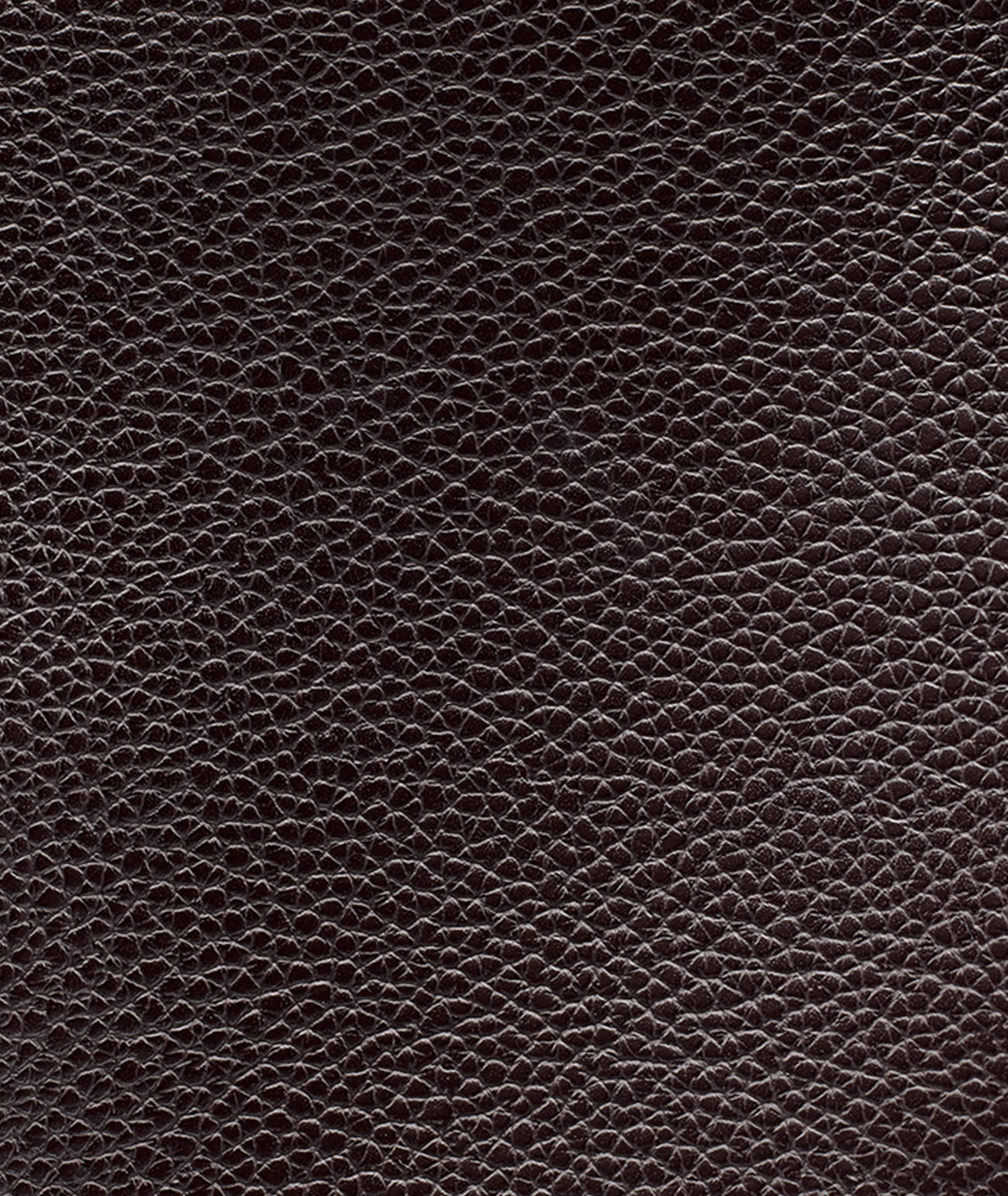 CROIX TOTE WITH KARL POM VIEW 6