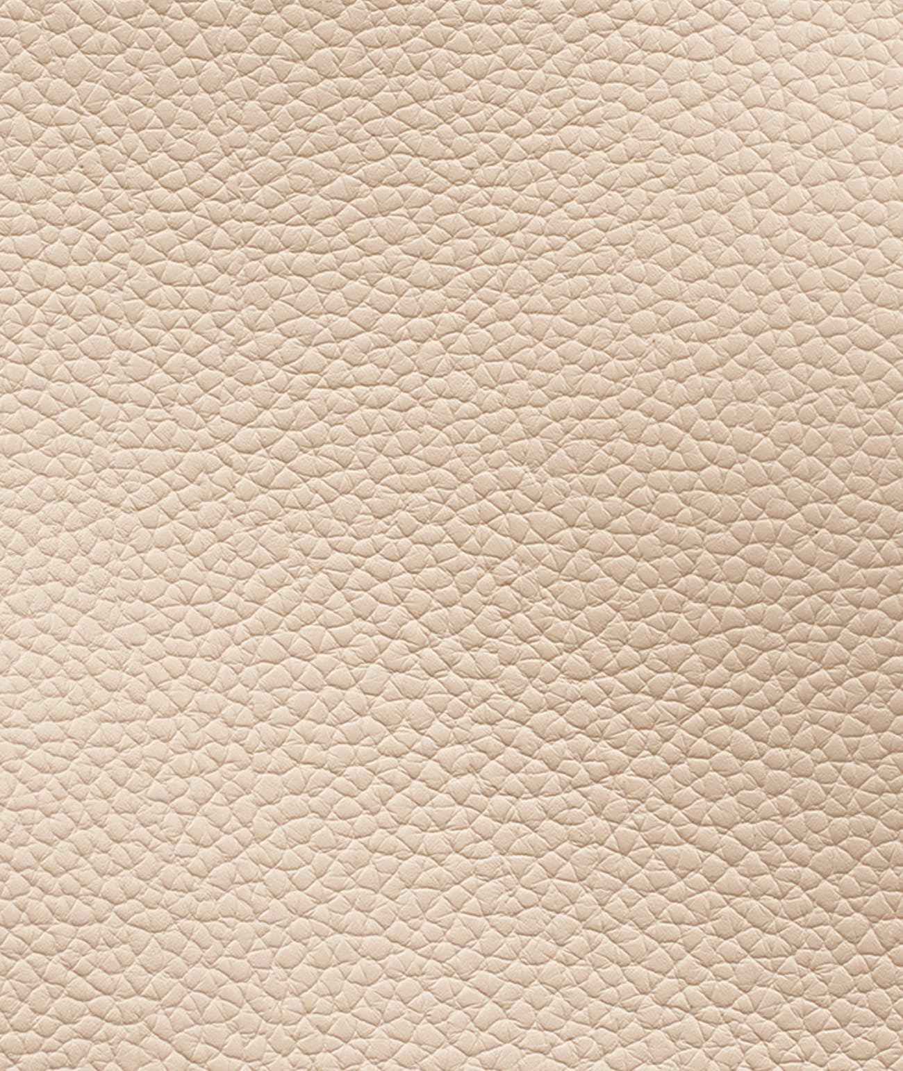 CROIX TOTE WITH KARL POM VIEW 6