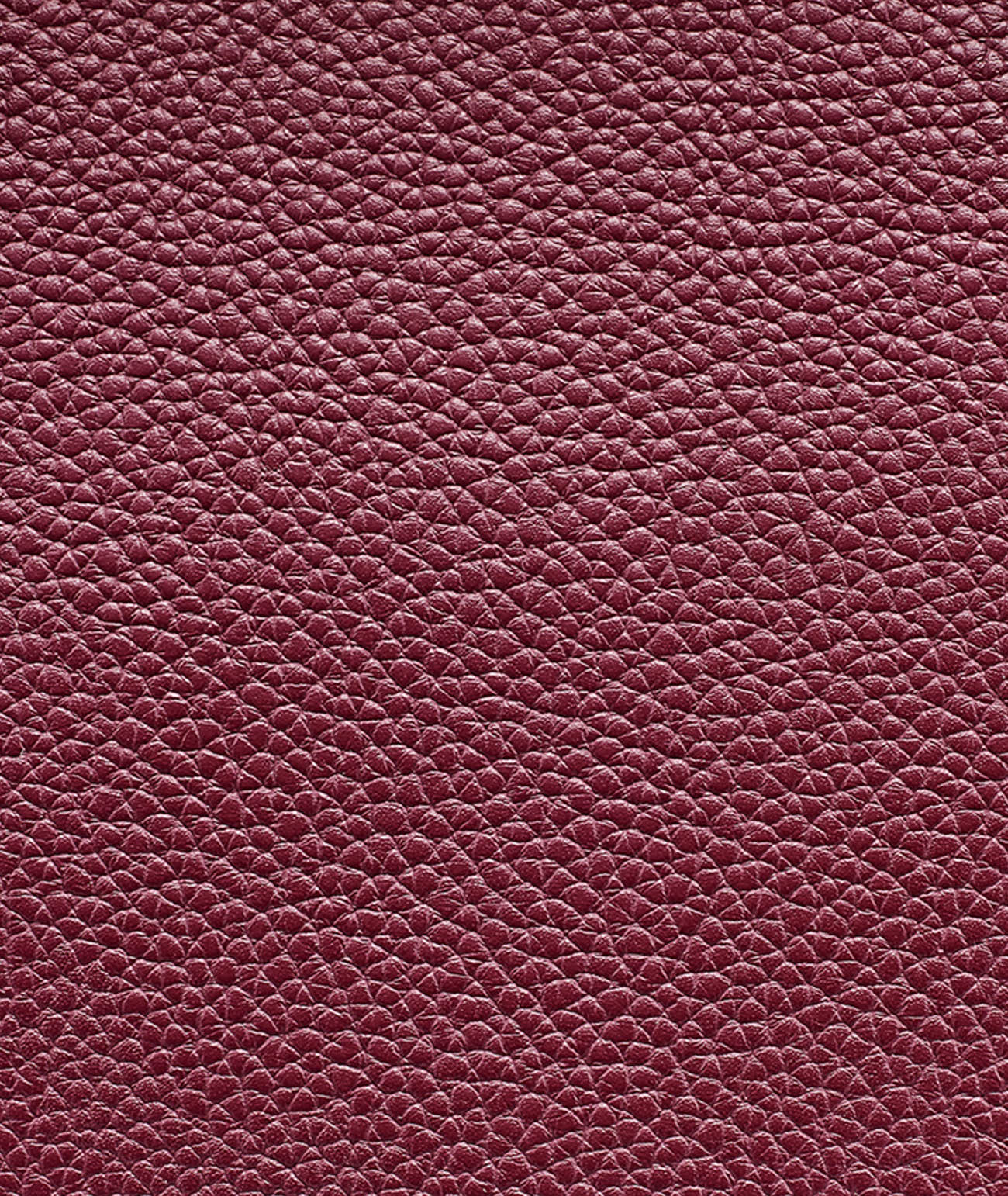 ZYLA SATCHEL VIEW 6
