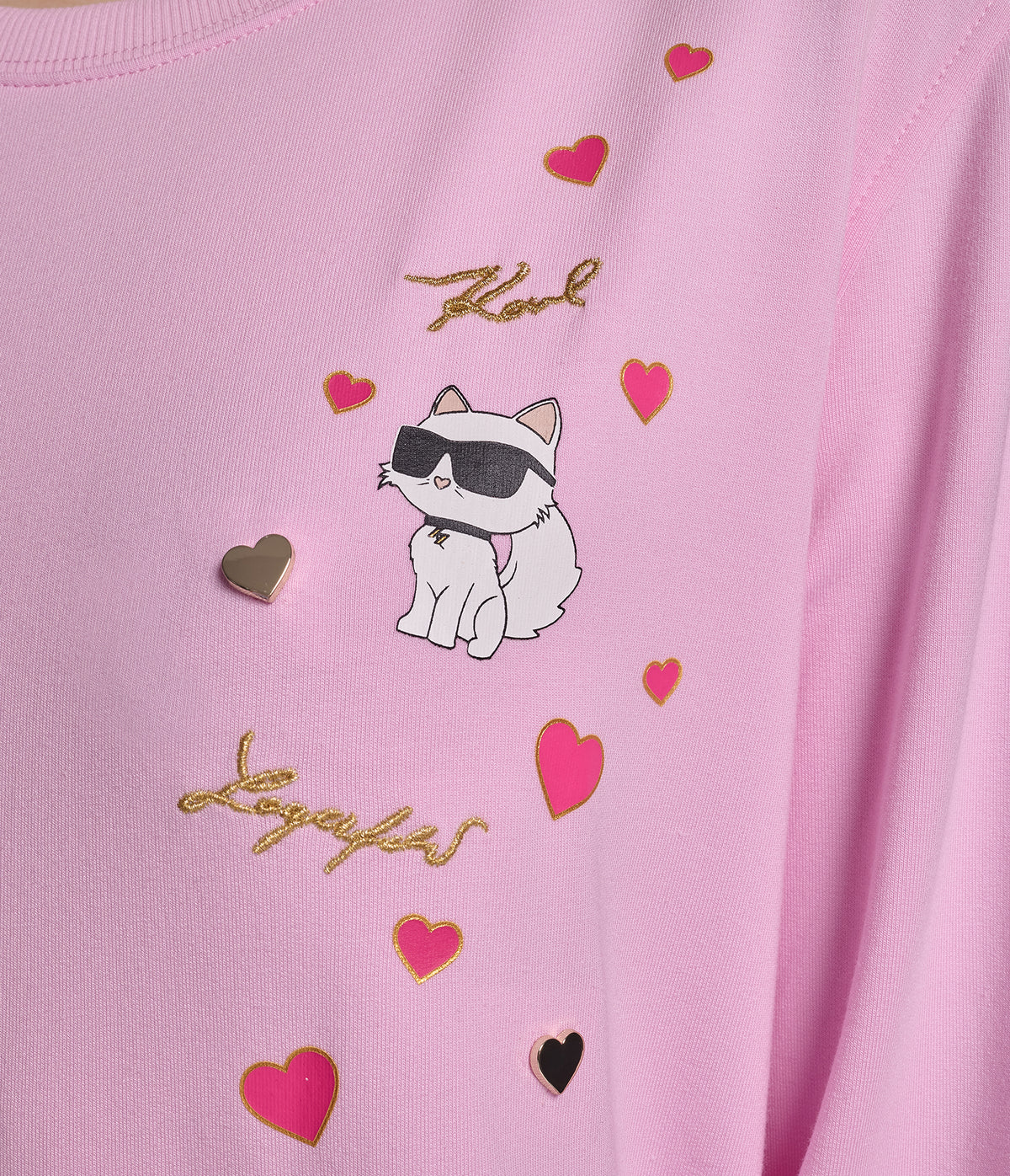 CATE PINS SWEATSHIRT VIEW 7